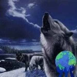 Meet your Posher, Lester